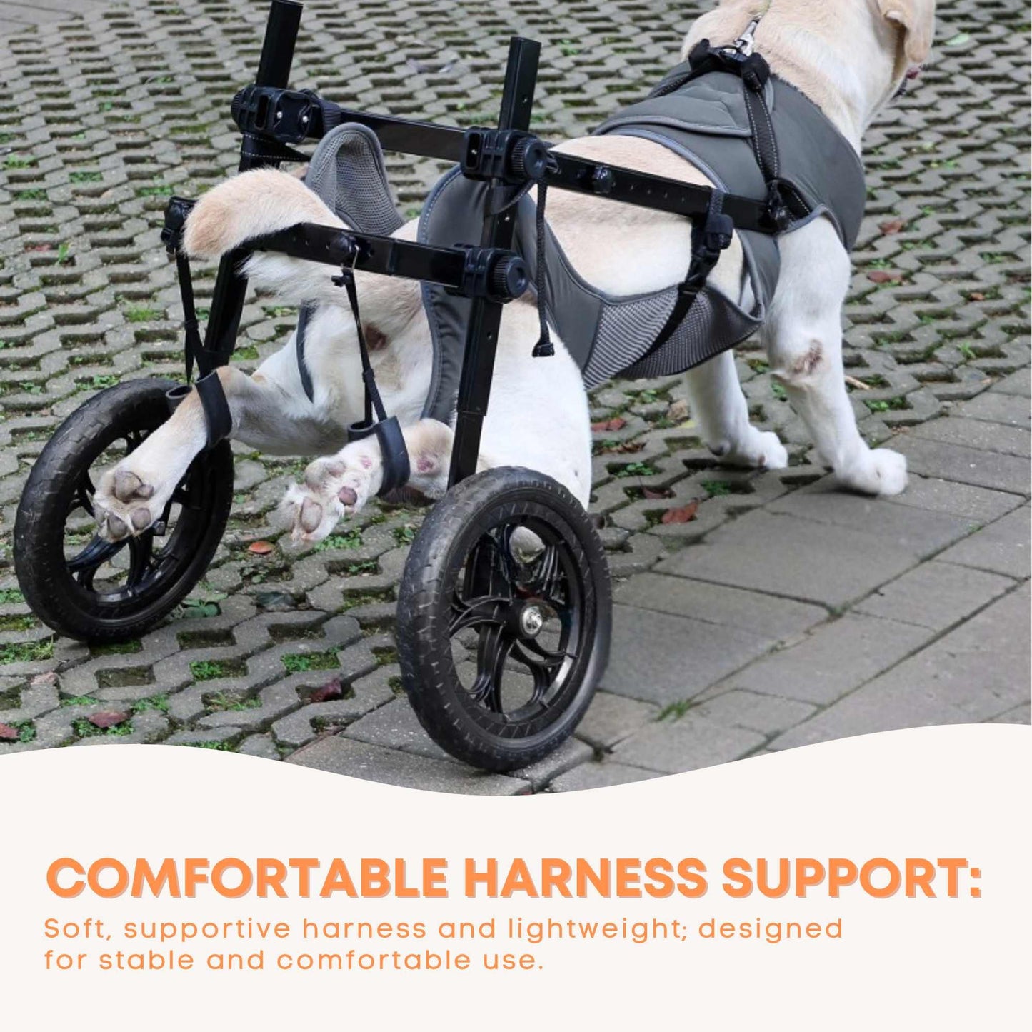 Dog Wheelchair XXL Harness - Adjustable Back Leg Aid