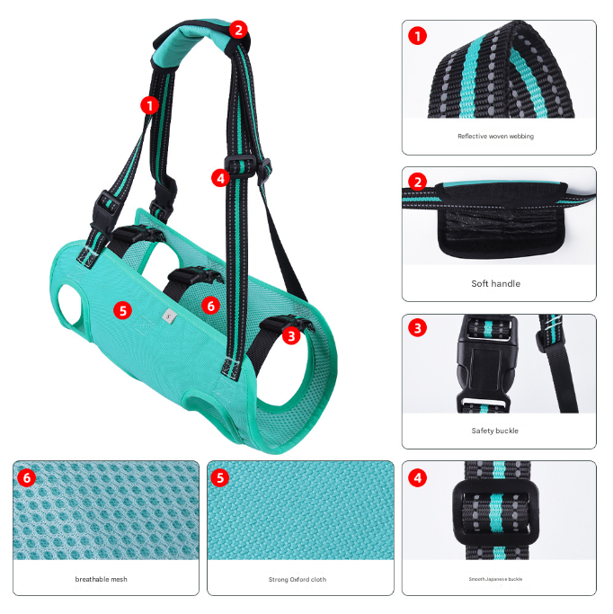 Pet Support Harness for Senior and Disabled Dogs - Adjustable Chest and Back Support Leash(Size M) Green
